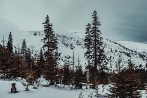 Nie tylko stoki - co zrobić zimą z dziećmi w Karkonoszach?